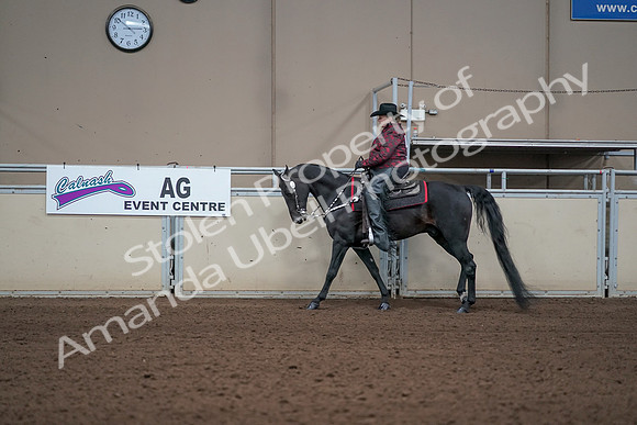 2019 Morgan Horse Show - Aug 31, 2019 - 10620