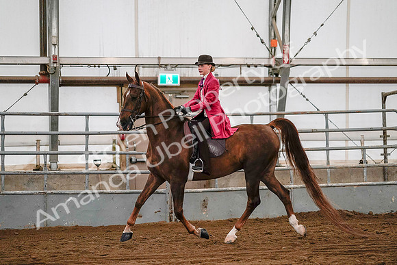 July 19, 2019 - 8740
