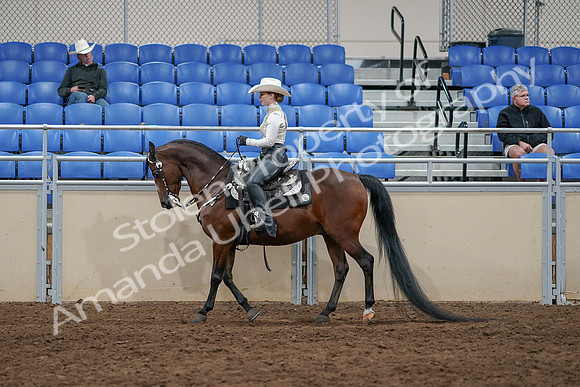 2020 - AB Morgan Horse - Sun, Sept 06 - 07569