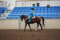 2019 Morgan Horse Show - Aug 30, 2019 - 16717