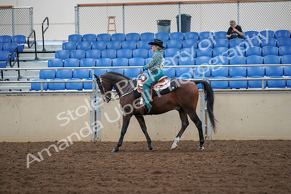 2019 Morgan Horse Show - Aug 30, 2019 - 16717