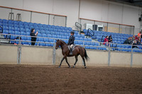 2019 Morgan Horse Show - Aug 30, 2019 - 12663