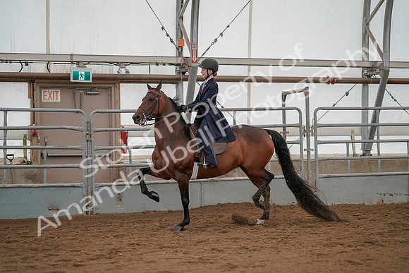 July 20, 2019 - 03753