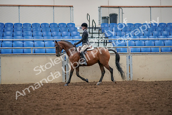2019 Morgan Horse Show - Aug 30, 2019 - 23140