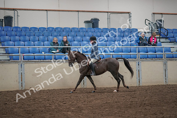 2019 Morgan Horse Show - Aug 31, 2019 - 07331