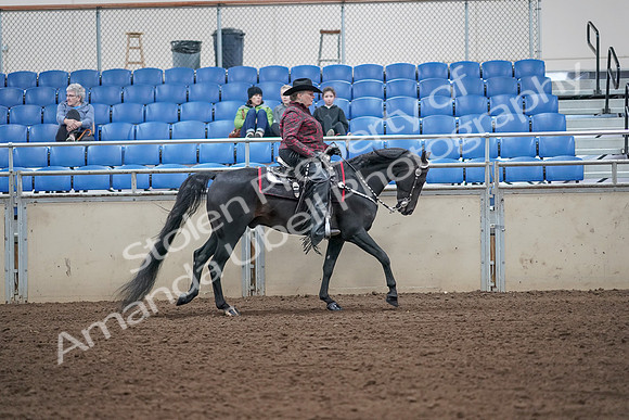 2019 Morgan Horse Show - Aug 31, 2019 - 10682