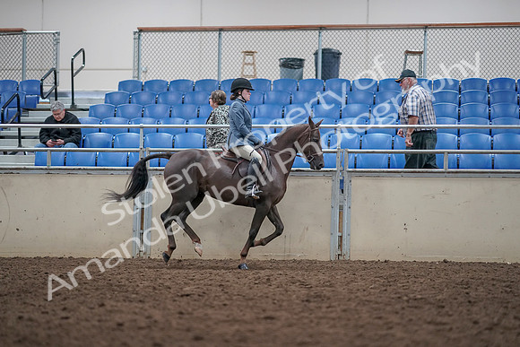 2019 Morgan Horse Show - Aug 31, 2019 - 16772
