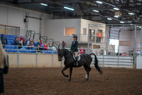 2019 Morgan Horse Show - Aug 30, 2019 - 12124