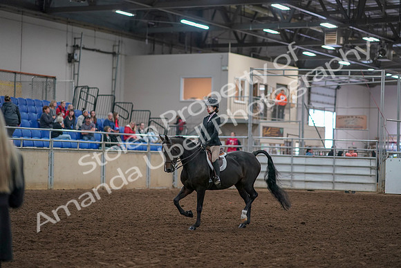 2019 Morgan Horse Show - Aug 30, 2019 - 12124