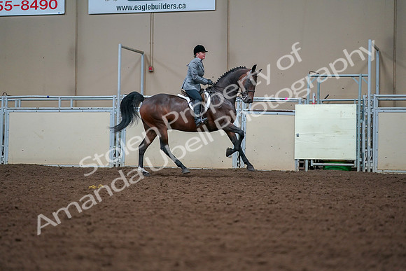 2019 Morgan Horse Show - Aug 30, 2019 - 21020