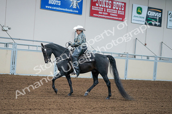 2020 - AB Morgan Horse - Fri, Sept 04 - 03601