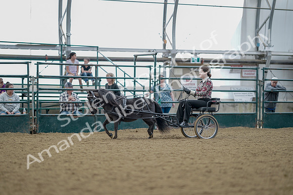 July 21, 2019 - 06835