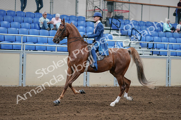 2020 - AB Morgan Horse - Sat, Sept 05 - 06192
