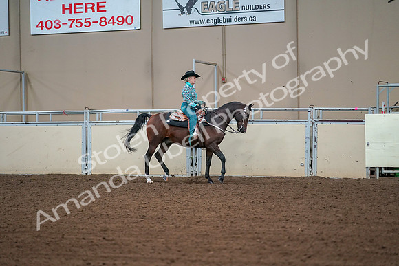 2019 Morgan Horse Show - Aug 30, 2019 - 17049