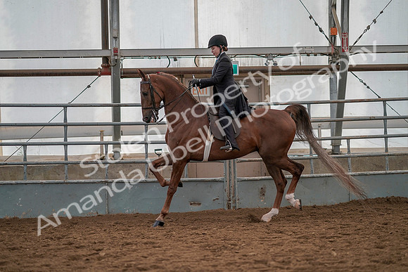 July 19, 2019 - 12963