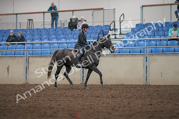 2019 Morgan Horse Show - Aug 31, 2019 - 07378