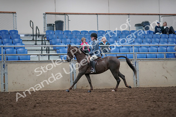 2019 Morgan Horse Show - Aug 31, 2019 - 16671