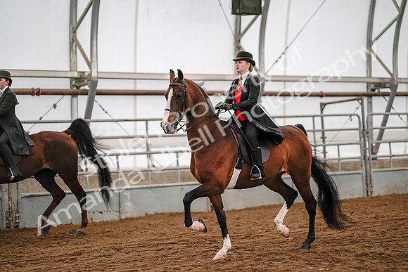 July 19, 2019 - 8799