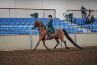 2019 Morgan Horse Show - Aug 30, 2019 - 27872
