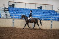 2019 Morgan Horse Show - Aug 30, 2019 - 12137