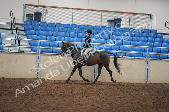 2019 Morgan Horse Show - Aug 30, 2019 - 12137
