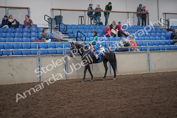 2019 Morgan Horse Show - Aug 31, 2019 - 16297
