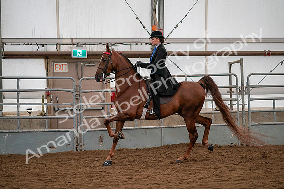 July 19, 2019 - 10312