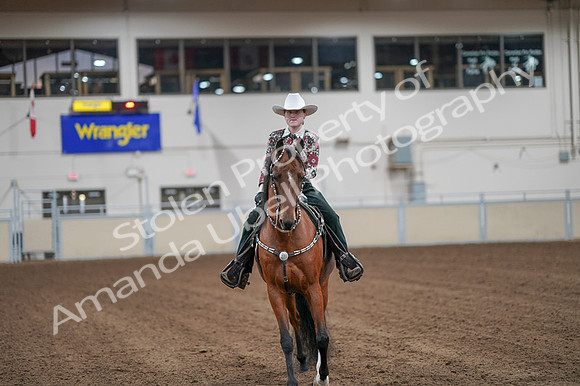 2020 - AB Morgan Horse - Fri, Sept 04 - 08499