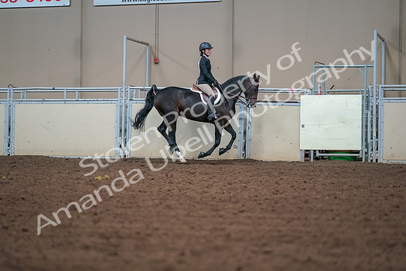2019 Morgan Horse Show - Aug 30, 2019 - 21090