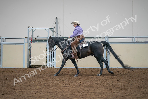 2020 - AB Morgan Horse - Sat, Sept 05 - 05665
