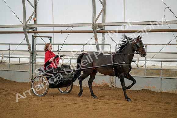 July 20, 2019 - 00198