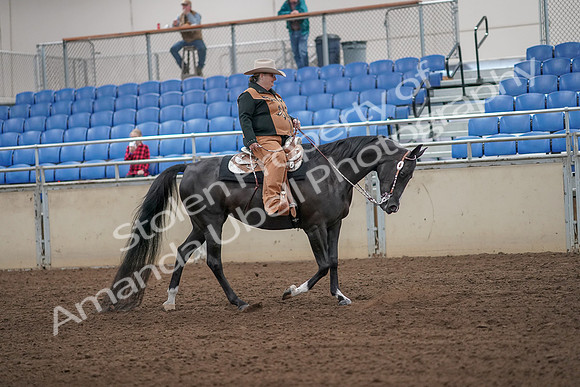 2019 Morgan Horse Show - Aug 31, 2019 - 06199
