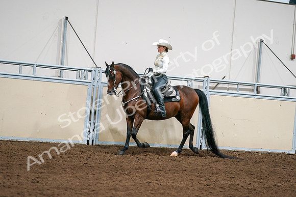 2020 - AB Morgan Horse - Sat, Sept 05 - 08922