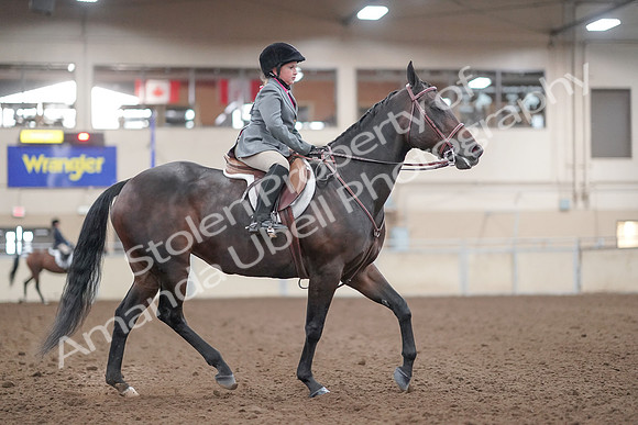 2019 Morgan Horse Show - Aug 31, 2019 - 19654