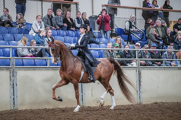 Spring Fling - Saturday - April 20, 2019  -  04378