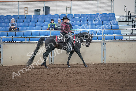 2019 Morgan Horse Show - Aug 31, 2019 - 10683