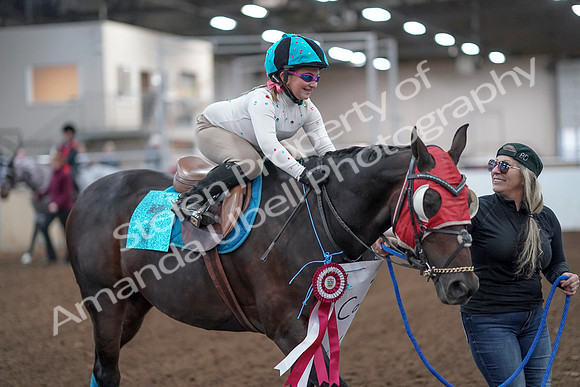 2019 Morgan Horse Show - Aug 31, 2019 - 09986