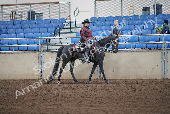 2019 Morgan Horse Show - Aug 31, 2019 - 10749