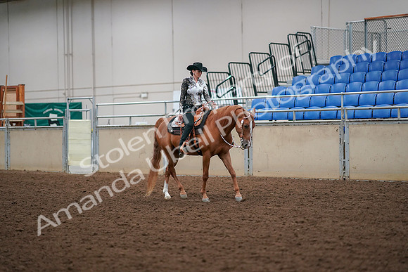 2019 Morgan Horse Show - Aug 30, 2019 - 17088