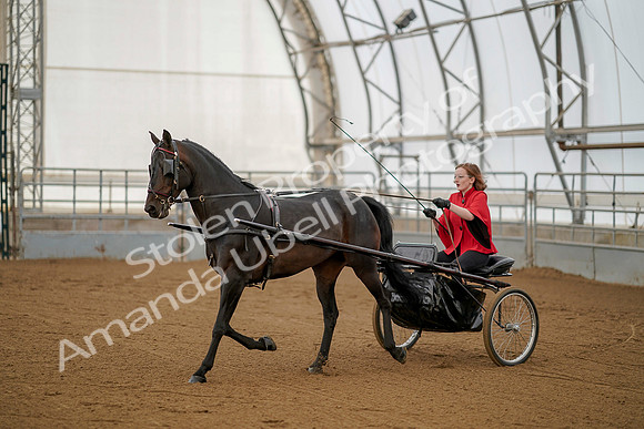 July 20, 2019 - 00273