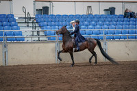 2019 Morgan Horse Show - Sept 01, 2019 - 12748