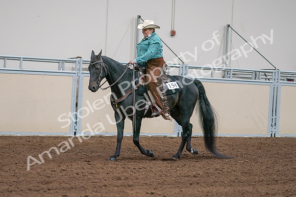 2020 - AB Morgan Horse - Sun, Sept 06 - 01584
