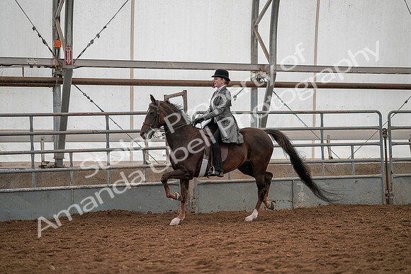 July 19, 2019 - 13035
