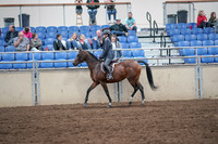 2019 Morgan Horse Show - Aug 31, 2019 - 21371