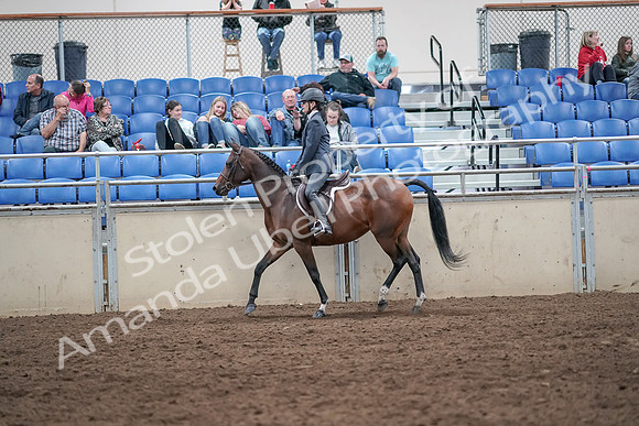 2019 Morgan Horse Show - Aug 31, 2019 - 21371