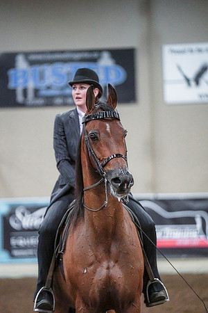 Spring Fling - Saturday - April 20, 2019  -  00876