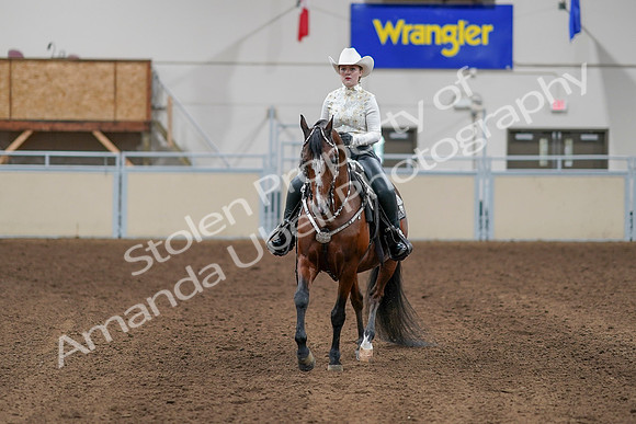 2020 - AB Morgan Horse - Sun, Sept 06 - 07605