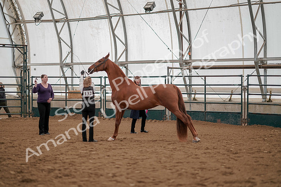 July 19, 2019 - 1207