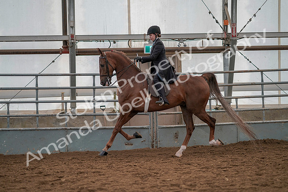 July 19, 2019 - 12962