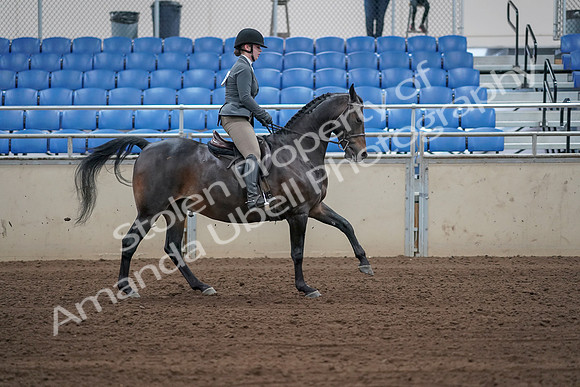 2019 Morgan Horse Show - Sept 01, 2019 - 11066